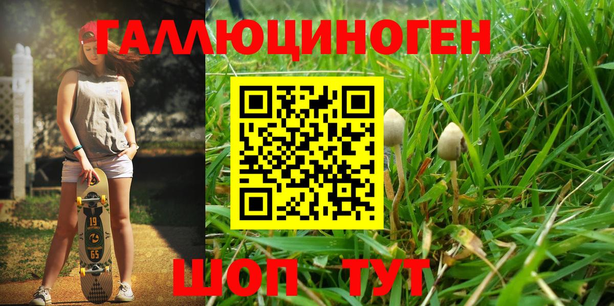Янаул  Галлюциногенные грибы GOLDEN TEACHER  Вход с VPN 