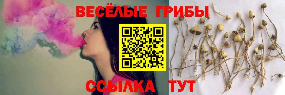 Псилоцибиновые грибы Psilocybine cubensis Янаул